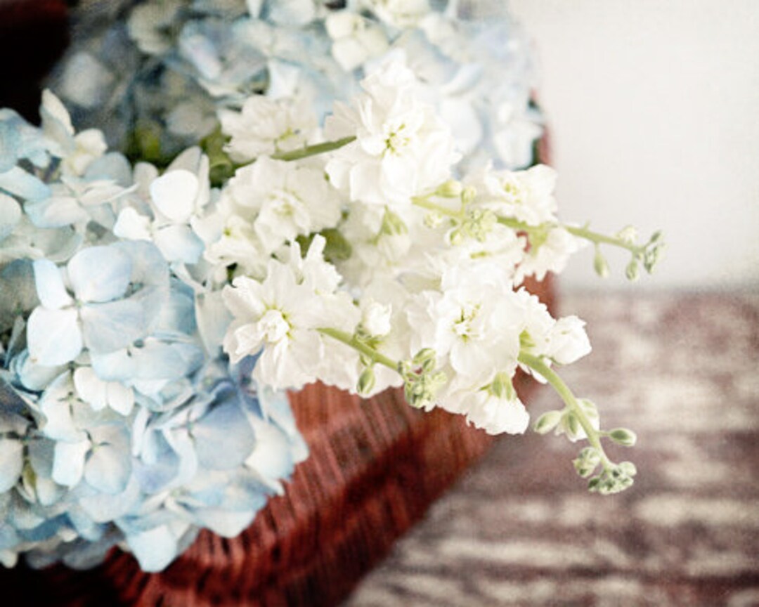 Blue Hydrangea Photo, Farmhouse Decor, Country Decor, Blue Flowers ...