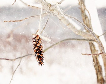 Pine Cone Photo, Rustic Home Decor, Winter Photography, Hygge Wall Art, Woodland Wall Art, Large Canvas Art