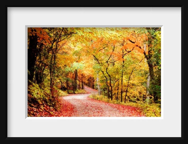 Fall Foliage Autumn Print Fall Landscape Photo Autumn Leaves Photo Autumn Landscape Photo Fall Decor Autumn Home Decor