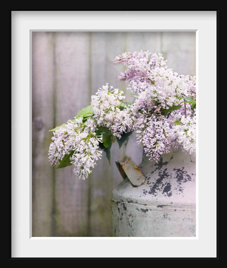 Lilac Print Country Home Wall Art Lilac Photograph Purple Etsy