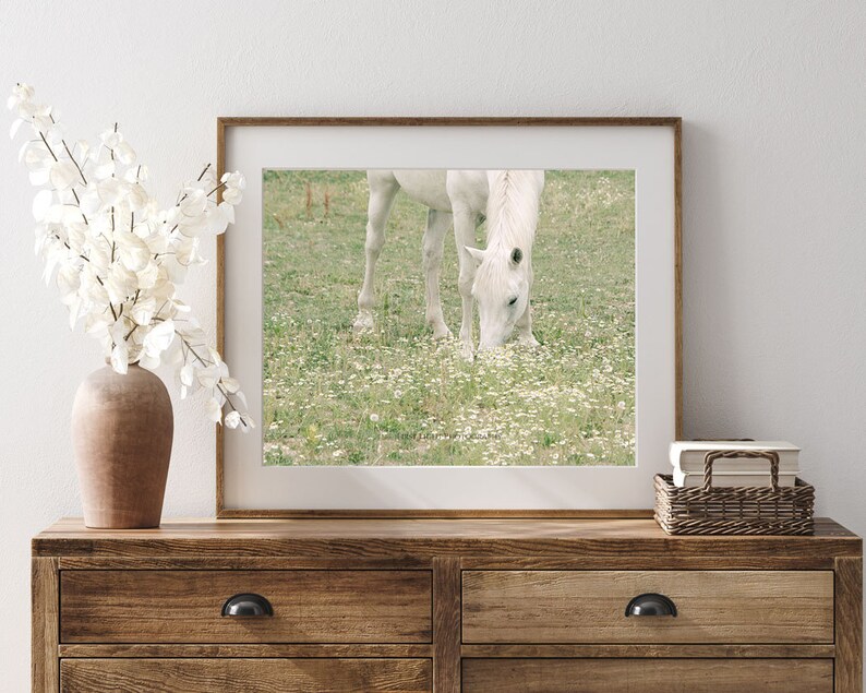 Horse Photograph, White Horse Photo, Horse in Pasture, Farm Art, Equine Print, Farmhouse Decor image 4