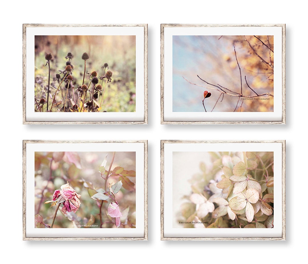 Pink and Ivory Flower Wall Art, Rustic Floral Photography, Floral Wall