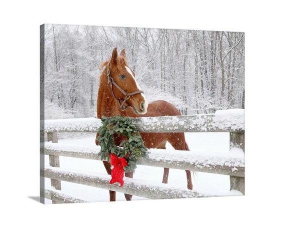 Christmas Horse Photo, Winter Horse Photograph, Horse in Snow Photo, Horse  and Christmas Wreath Print, Christmas Wall Art, Horse Lover Gift - Etsy