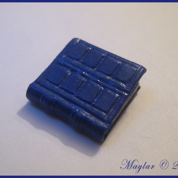 FREE SHIPPING Miniature River Song Diary with all Doctor's Faces, OOAK