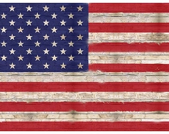 Sun Up to Sun Down American Flag Fabric Panel