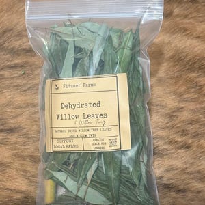 Dried Willow Tree Leaves