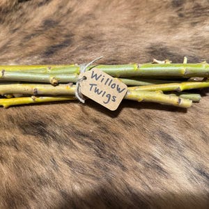 Willow Tree Branches