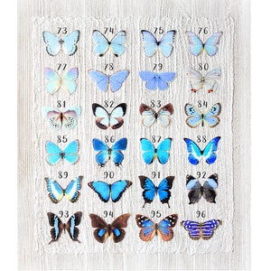 blue silk butterflies . 1-20 hair clips, pins, magnets . your choice . fairy sky birthday gift, wedding, bridesmaids, favor