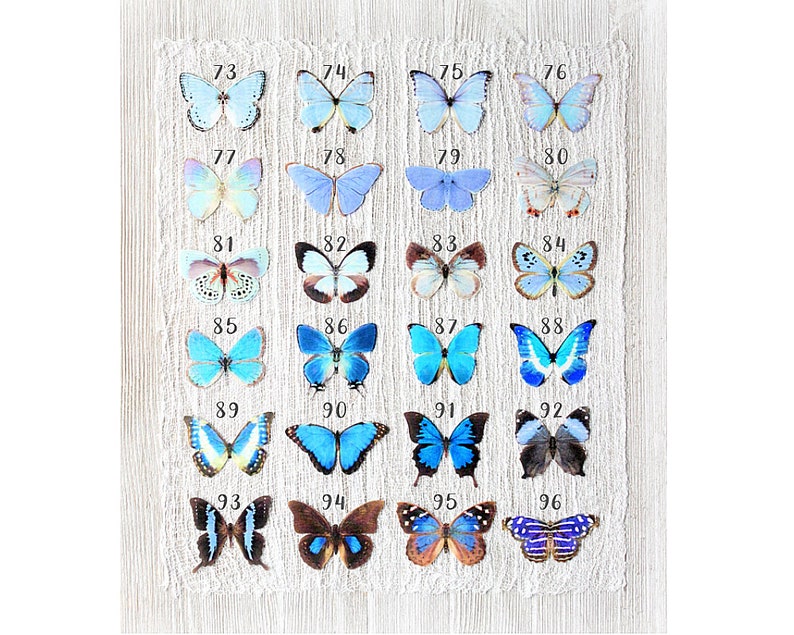 blue silk butterflies . 1-20 hair clips, pins, magnets . your choice . fairy sky birthday gift, wedding, bridesmaids, favor image 1