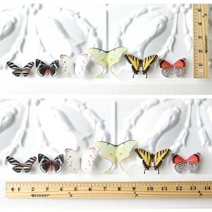 green silk butterflies . 1-20 hair clips, pins, magnets . your choice . birthday gift, wedding, bridesmaids, parties image 10