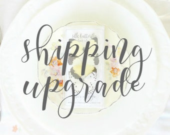 Shipping upgrade to *Priority Mail* for U.S. orders PLACED PREVIOUSLY