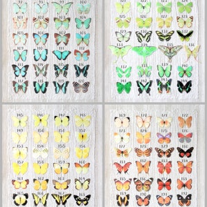 1-9 silk butterfly hair clips . your choice of butterflies . gifts for girls birthday, wedding, bridesmaids, party . costume image 4