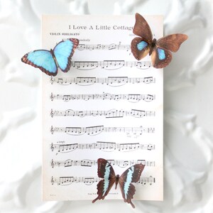 blue silk butterflies . 1-20 hair clips, pins, magnets . your choice . fairy sky birthday gift, wedding, bridesmaids, favor image 3