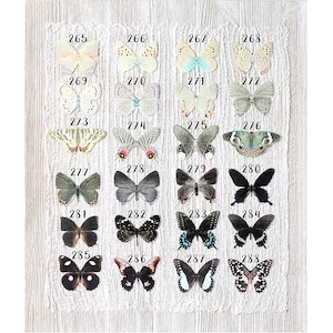 silver gray black silk butterflies . 1-20 hair clips, pins, magnets . your choice . birthday gift, wedding, bridesmaids, party