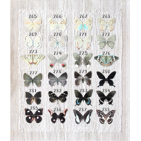 silver gray black silk butterflies . 1-20 hair clips, pins, magnets . your choice . birthday gift, wedding, bridesmaids, party
