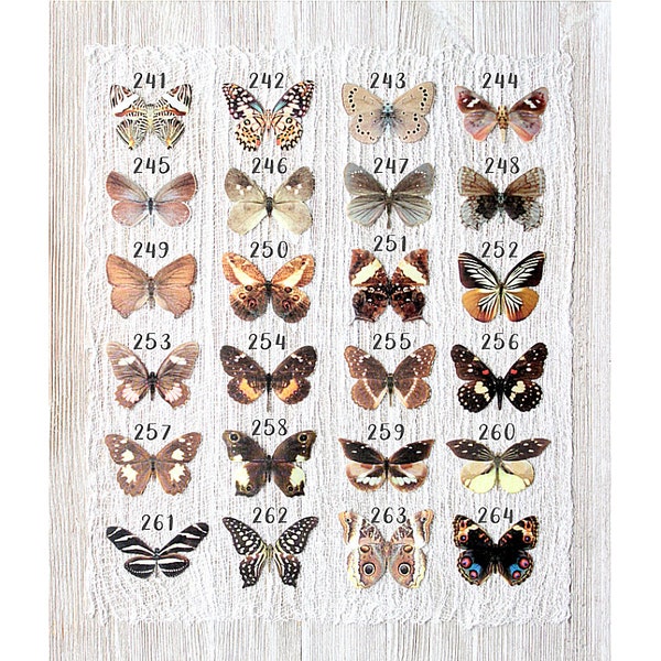 dark brown silk butterflies . 1-20 hair clips, pins, magnets . your choice . birthday gift, wedding, bridesmaids, parties