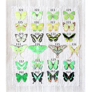 green silk butterflies . 1-20 hair clips, pins, magnets . your choice . birthday gift, wedding, bridesmaids, parties image 1