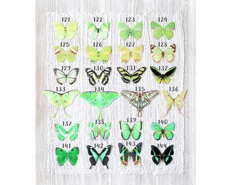 green silk butterflies . 1-20 hair clips, pins, magnets . your choice . birthday gift, wedding, bridesmaids, parties