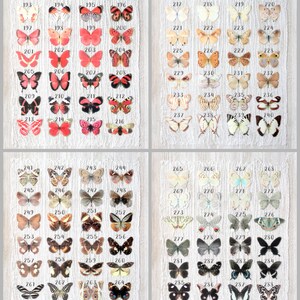 1-9 silk butterfly hair clips . your choice of butterflies . gifts for girls birthday, wedding, bridesmaids, party . costume image 5