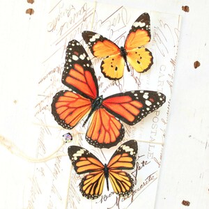 NEW 2023 collection no. 51 silk butterflies . 1 large, 2 small orange monarch woodland hair clips, pins, magnets . wedding, boho image 2