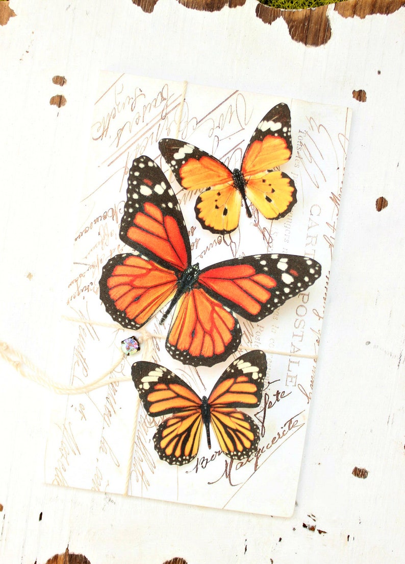 NEW 2023 collection no. 51 silk butterflies . 1 large, 2 small orange monarch woodland hair clips, pins, magnets . wedding, boho image 2