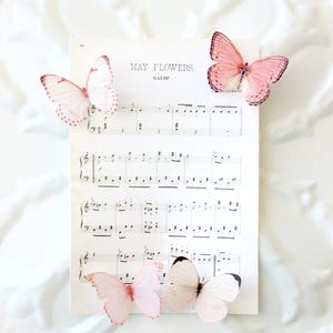collection no. 33 . 2 pink silk butterflies number 42, 43 . hair clips, pins, magnets . realistic gifts birthday, prom, wedding, bridesmaids image 3