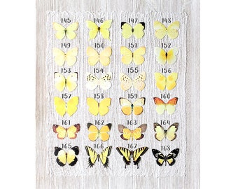 yellow silk butterflies . 1-20 hair clips, pins, magnets . your choice . birthday gift, wedding, bridesmaids, party