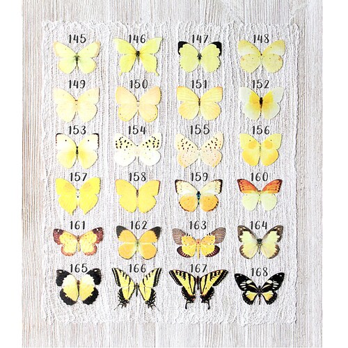 yellow silk butterflies . 1-20 hair clips, pins, magnets . your choice . birthday gift, wedding, bridesmaids, party