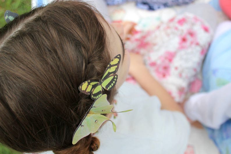 green silk butterflies . 1-20 hair clips, pins, magnets . your choice . birthday gift, wedding, bridesmaids, parties image 3