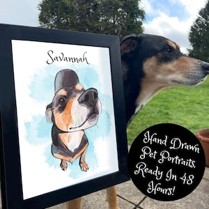 Ritratto di animale domestico disegnato a mano - Ritratto di animale domestico personalizzato da foto