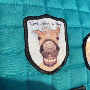 May include: A white patch with a black border featuring a cartoon horse with the text "Good Neigh to You!"