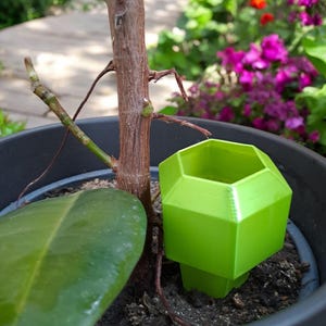 Geometric Plant Watering Spike | 3D Printed Self Watering System | Modern Indoor Planter Accessory | Eco-Friendly Gardening Gift
