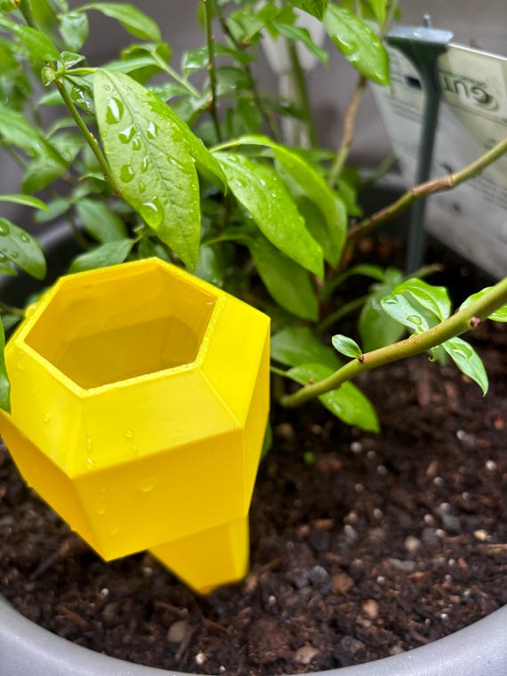 Geometric Plant Watering Spike | 3D Printed Self Watering System | Modern  Indoor Planter Accessory | Eco-friendly Gardening Gift - Etsy