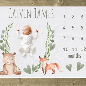 Bear Milestone Blanket, Personalized Bear Baby Blanket, Woodland Animal Baby Boy Month Blanket, Forest Animal Baby Growth Blanket, Fox Minky