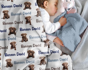 Chocolate Lab Receiving Blanket, Personalized Baby Boy Blanket, Personalized Baby Shower Gift, Custom Minky Blanket, Swaddle Blanket