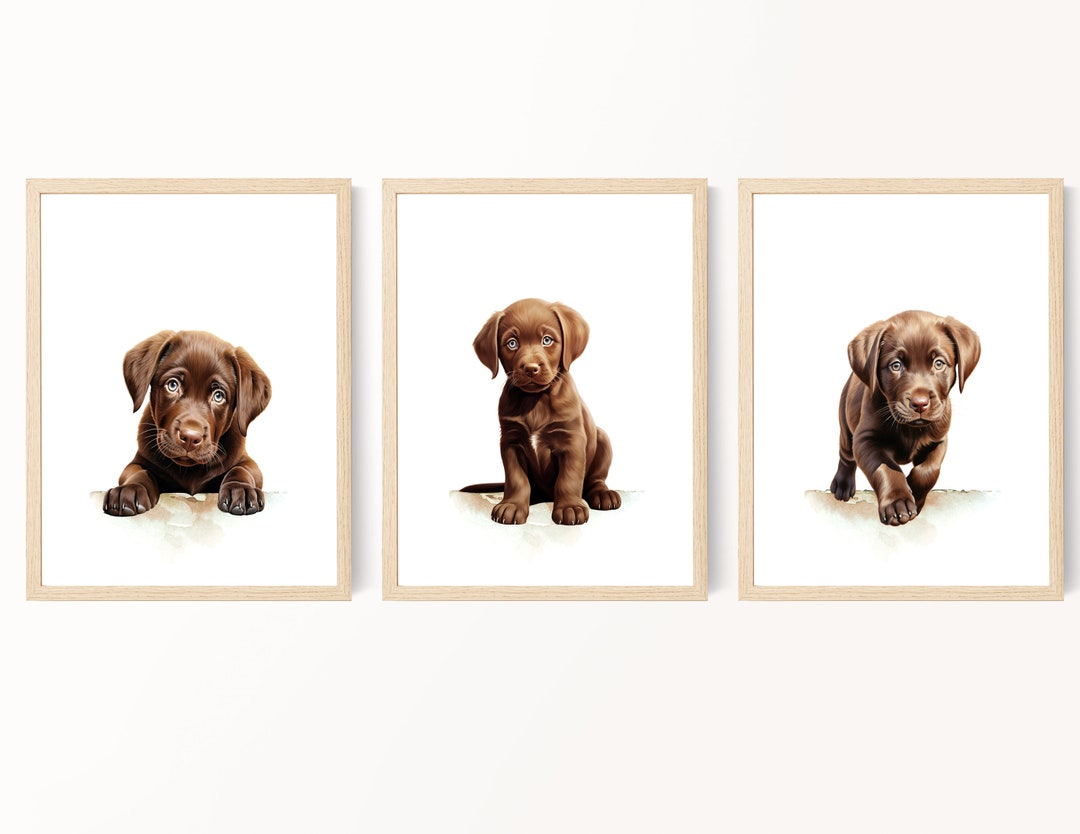 Labrador Puppy Nursery Art, Chocolate Lab Print Set, Labrador Retriever ...