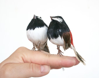 Lot of vintage bird Christmas ornaments. Feathered ornaments, songbird ornaments, natural feathers, millinary, gift wrap embellishments