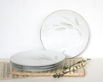 Rosenthal Continental Regina Wheat dinner plates. 2000 line. Platinum, mid century modern, fine porcelain, china, tan, beige, yellow, white