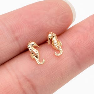 May include: A pair of gold-toned seahorse stud earrings. The earrings are small and delicate, and they feature a detailed seahorse design.