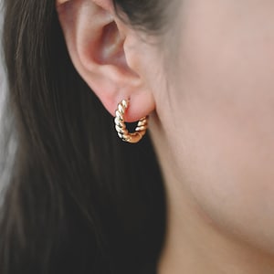 Può includere: Orecchini a cerchio dorati con un design intrecciato. Gli orecchini sono indossati nell'orecchio di una persona.