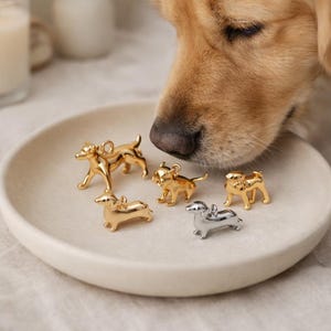 Puede incluir: Una colección de cinco dijes de metal con forma de perro sobre un plato de cerámica redondo y de color blanco hueso. Cuatro de los dijes tienen un acabado dorado pulido, mientras que uno es de color plateado. Cada dije incluye una pequeña argolla.