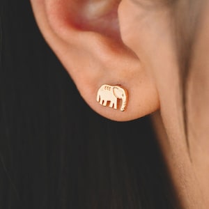 May include: A close-up of a person's ear with a small gold elephant stud earring.