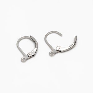 May include: Two silver earring hooks with a spring clasp closure.
