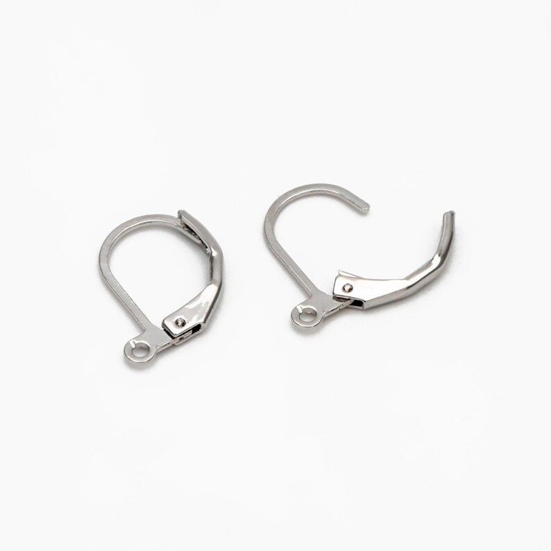 May include: Two silver earring hooks with a spring clasp closure.