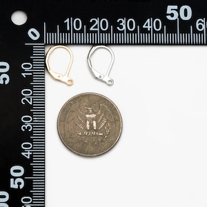 May include: Two earring hooks, one gold and one silver, are shown next to a US quarter for size comparison.