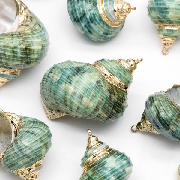 10pcs Whelk Seashell Charms, Gold plated Shell Pendants, Natural Unique Shape (#V1391)