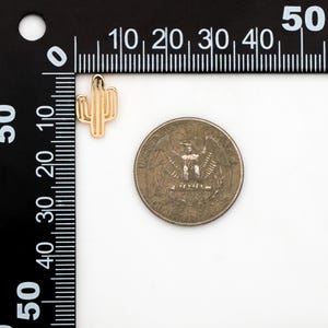 Op de afbeelding: Een gouden metalen cactusbedel, ongeveer ter grootte van een Amerikaanse kwart, wordt getoond naast een liniaal.