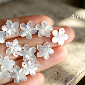 May include: A collection of white, iridescent, five-petaled flower-shaped charms made of shell. Each individual piece measures 14mm in diameter and features a small hole at the top for attachment. The surface of each flower has a smooth, pearlescent finish.