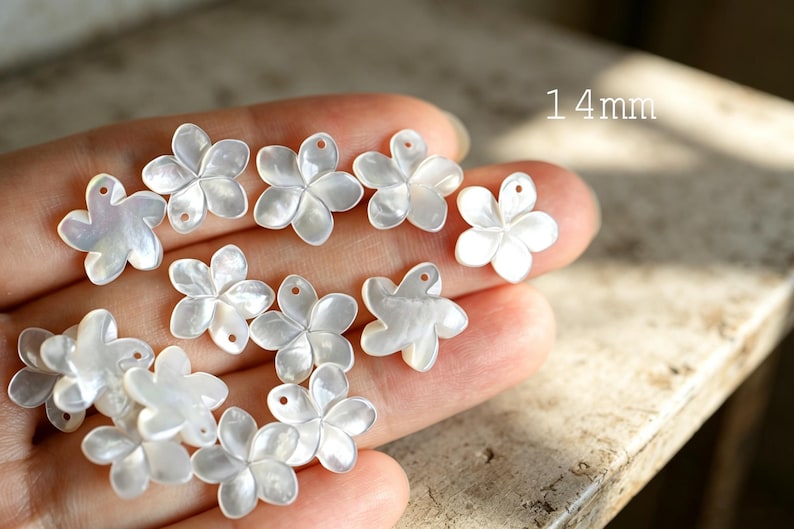 May include: A collection of white, iridescent, five-petaled flower-shaped charms made of shell. Each individual piece measures 14mm in diameter and features a small hole at the top for attachment. The surface of each flower has a smooth, pearlescent finish.