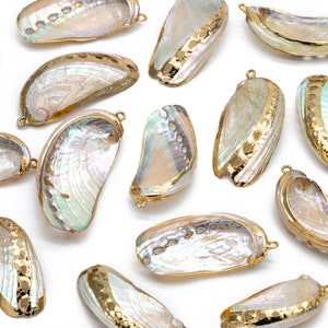 4pcs Mussel Shell Charms, Seashell Pendant, Gold Tone Plated Earring charm (#V1421)